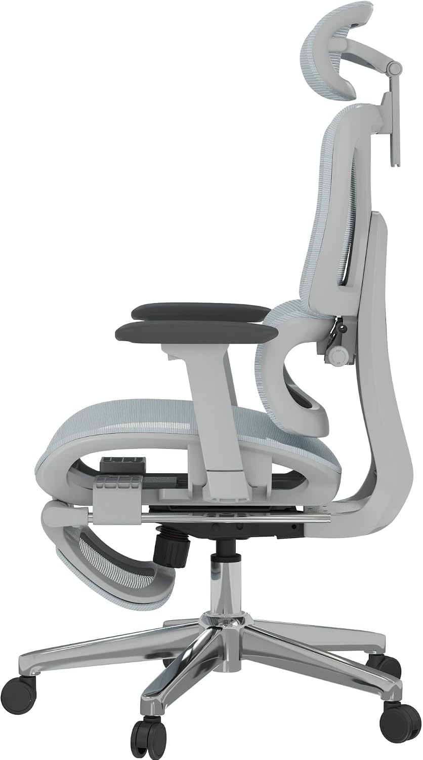 FLEXISPOT ErgoX Premium Ergonomic Office Chair with Footrest - Adjustable 3D Armrests, Dynamic Lumbar Support, Recline & Tilt Function, Mesh Seat, for Home & Office Use, Blue