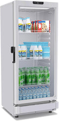 GRS Commercial Display Refrigerator with Glass Door Lock | Cool Air Flow & Temperature | Beverage Cooler, Drink and Wine Fridge with Adjustable Display Shelf for Stores and Bars | Silver, 6.0 Cu. Ft