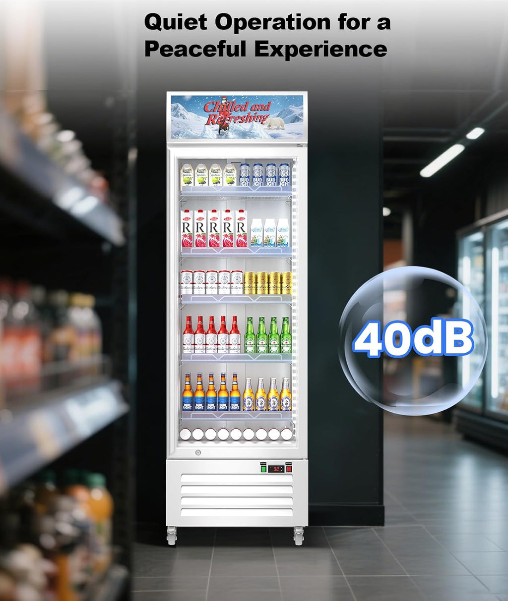 Tylza Commercial Refrigerator with Glass Door Display Beverage Fridge, 13.52 Cu Ft Upright Beverage Cooler Merchandiser with Rebound Door, Fast Cooling, Low Noise, White