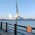 Wind Turbine 1000W 12V Horizontal Wind Generator Kits 3 Blades with MPPT Charge Controller Free Energy