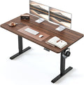 BANTI 55 × 24 Inches Standing Desk, Ergonomic, Electric Height Adjustable, Sit and Stand Up, Computer Office Desk with Splice Board, Black Frame/Black Walnut Top