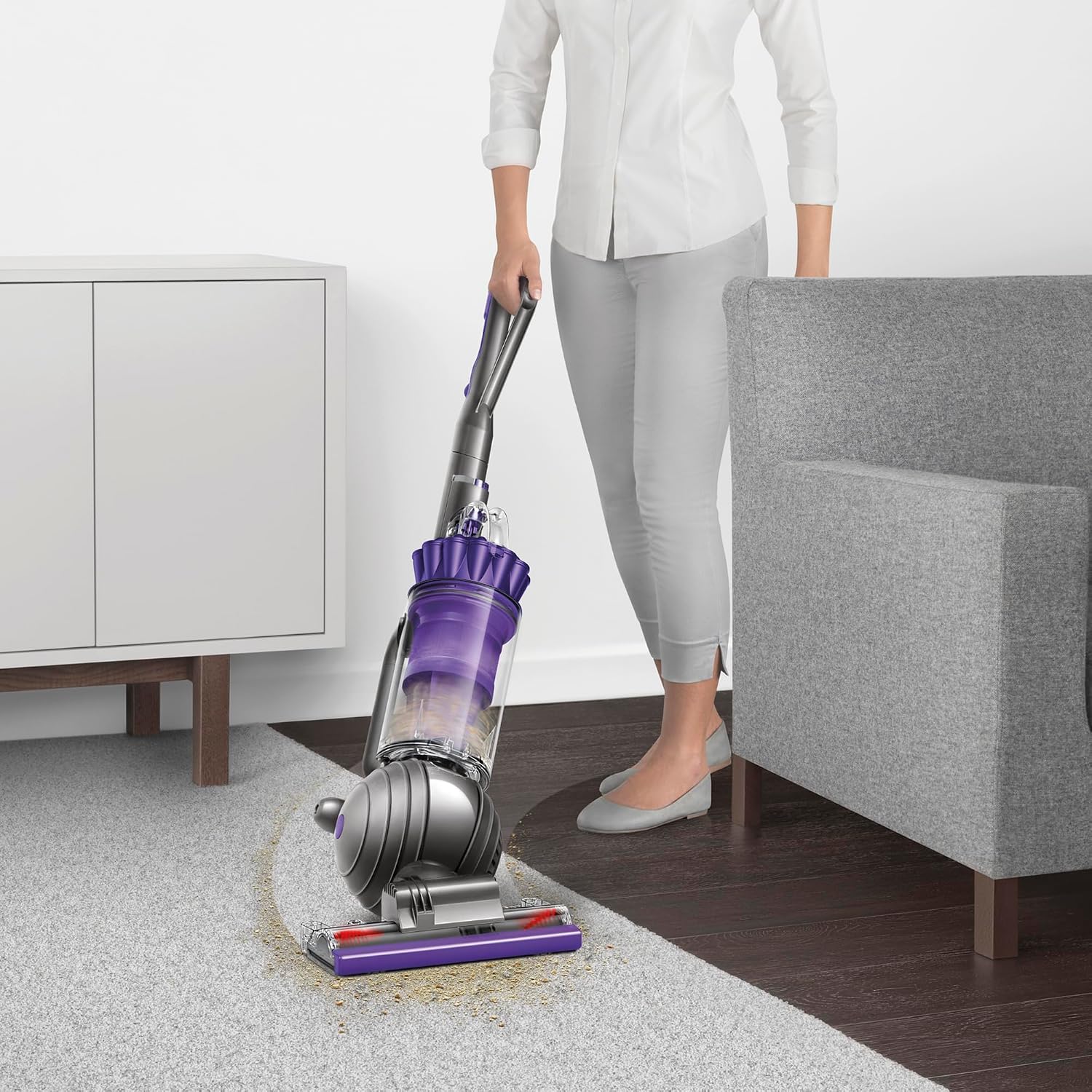 Dyson Ball Animal 2 Corded Vacuum (Renewed Premium)