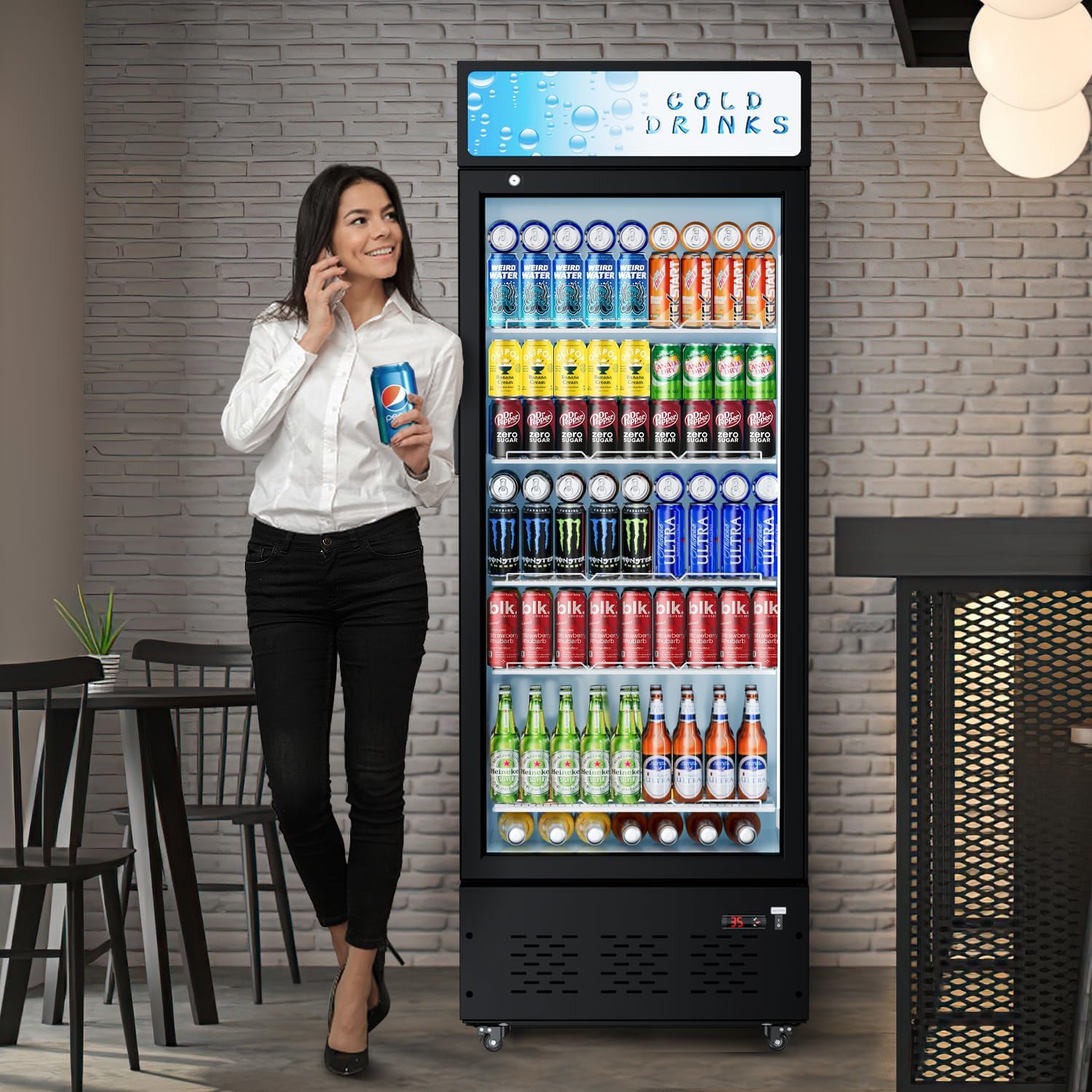 Commercial Beverage Refrigerator, 15 Cu.ft.Display Fridge Glass Door Upright Display Door with Adjustable Shelves LED Light for Restaurant,Grocery Stores,Office